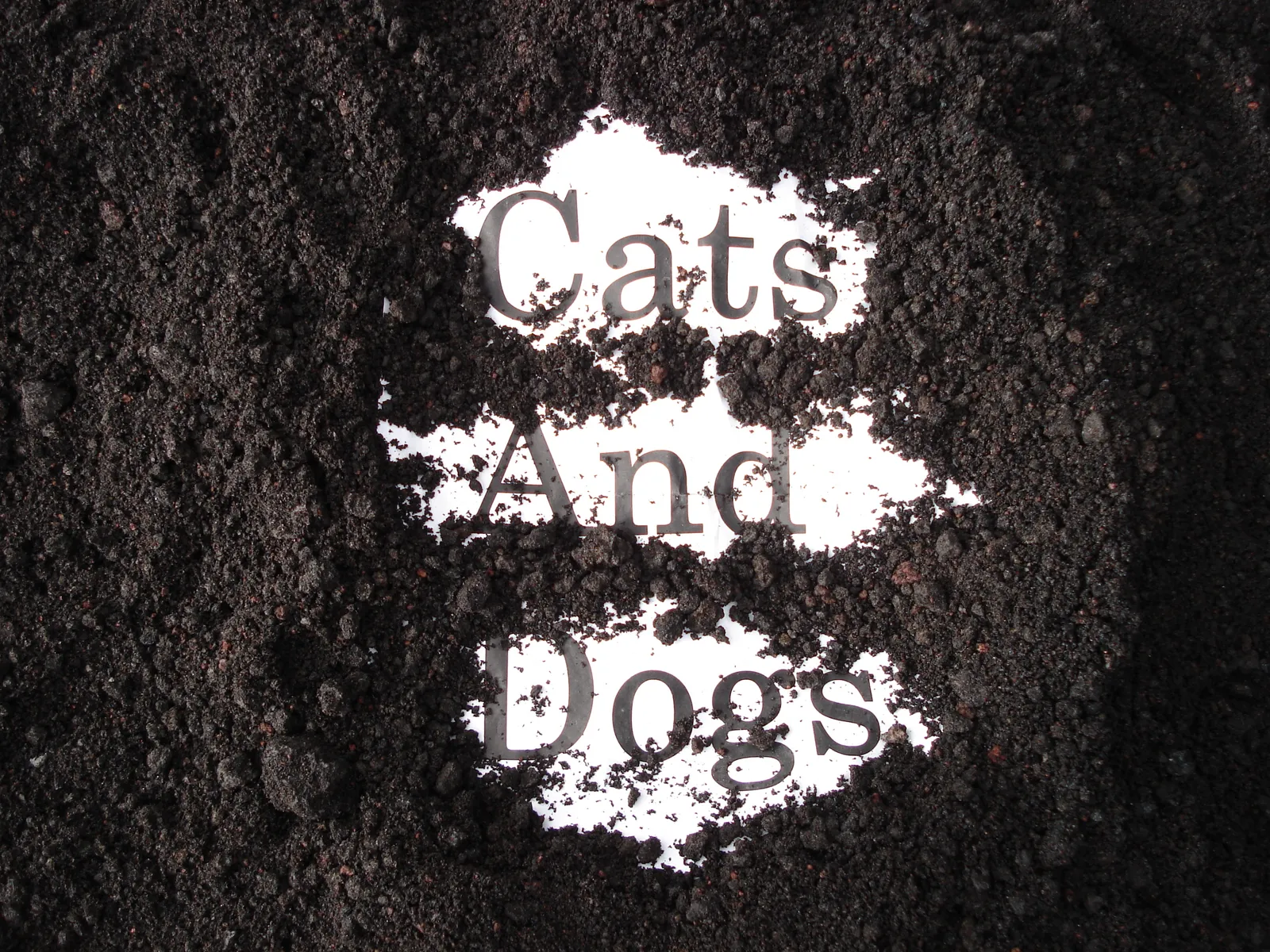 暗い地面に白い粉で書かれた「Cats And Dogs」の文字