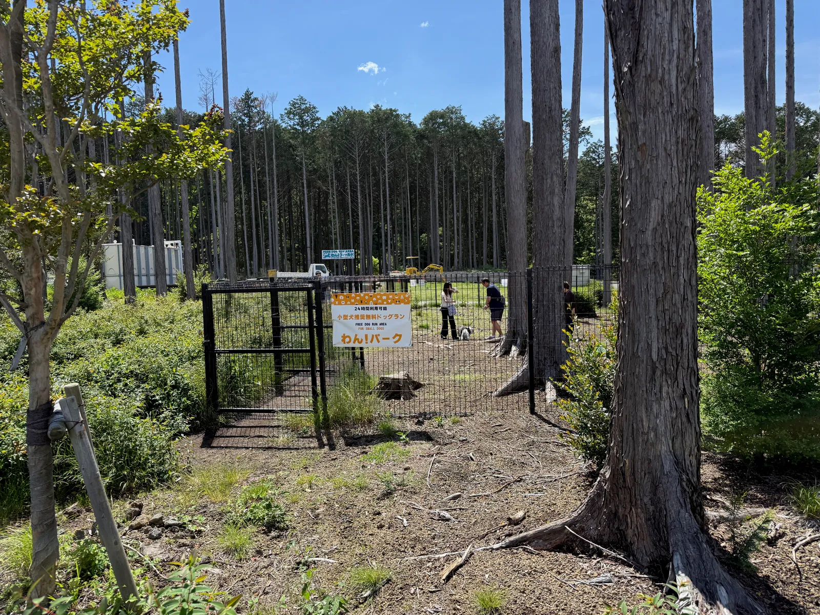 A fenced-in dog run with people and dogs inside