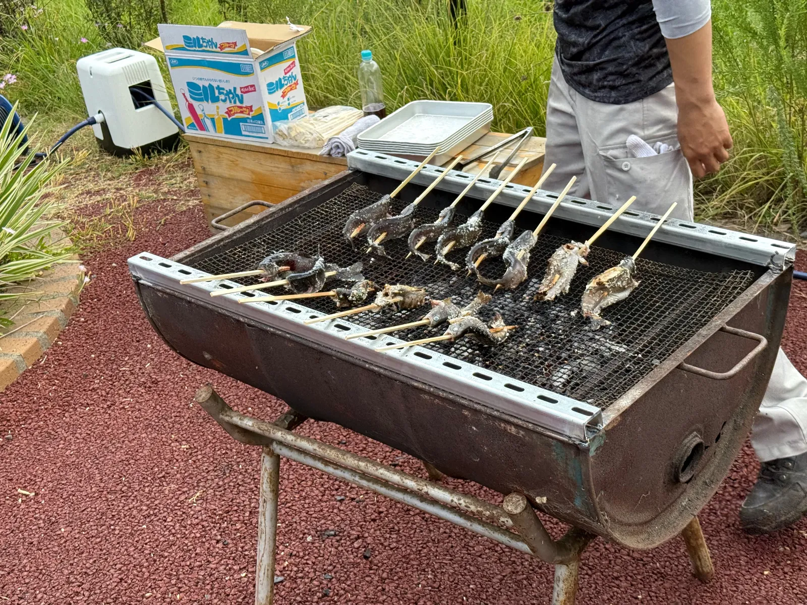 Salt-grilled trout on bamboo skewers, over a charcoal grill