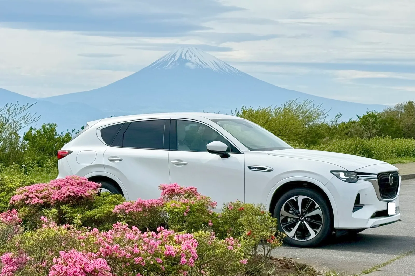 My car parked with Mt. Fuji and early-blooming azalea behind it